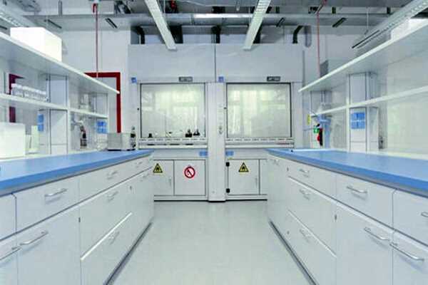 实验室分析阶段环境监测的主要任务！