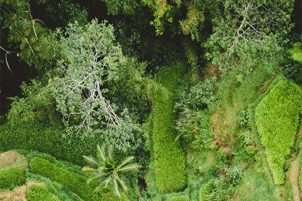 极端热浪持续冲击全球能源系统，中央空调系统显身手！