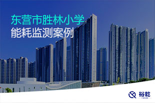 东营市胜林小学能耗监测系统案例
