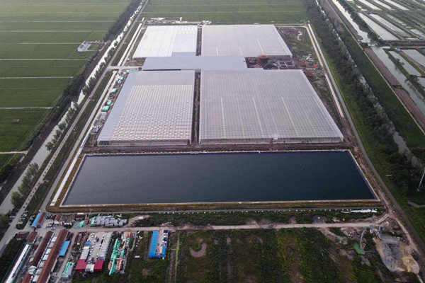 大赞！吉林石化研究院创新环境监测业务！(图1)